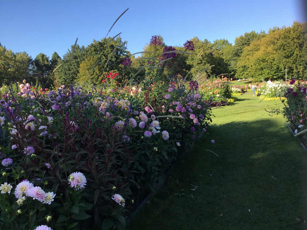 BA9EE84E-2EF4-4F4C-B312-B14023983CCC