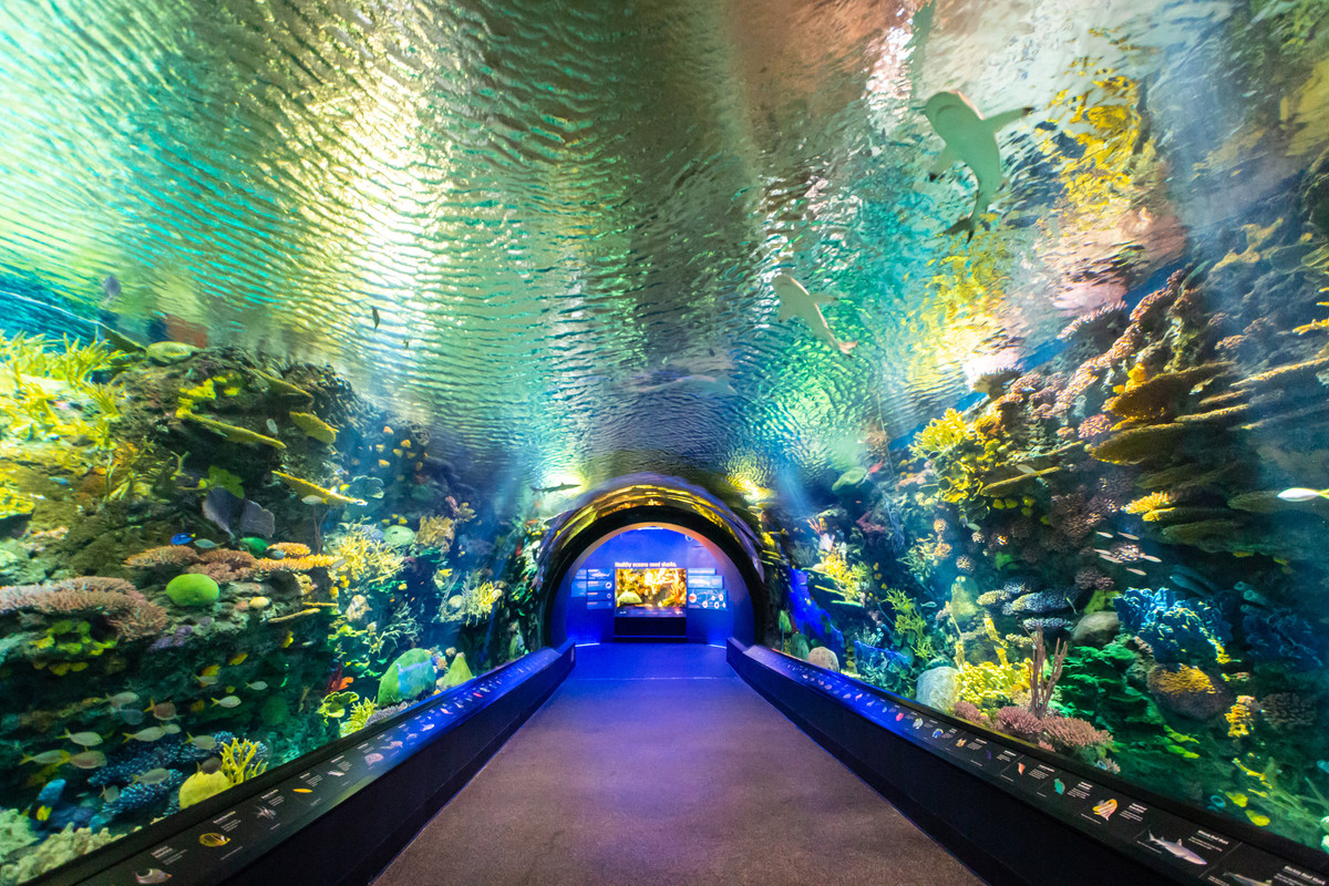 New York Aquarium