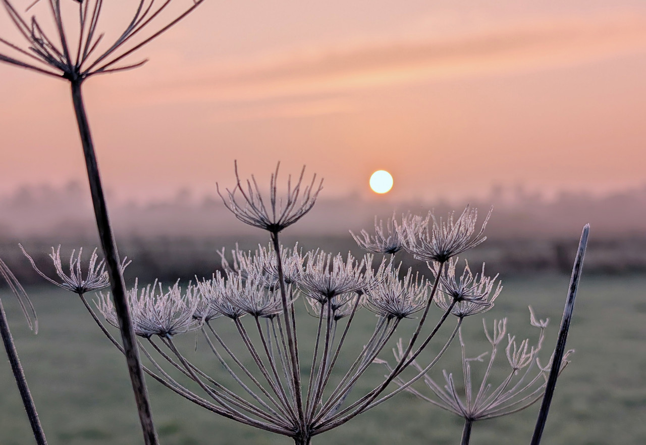 PXL 20251121 072716440 2