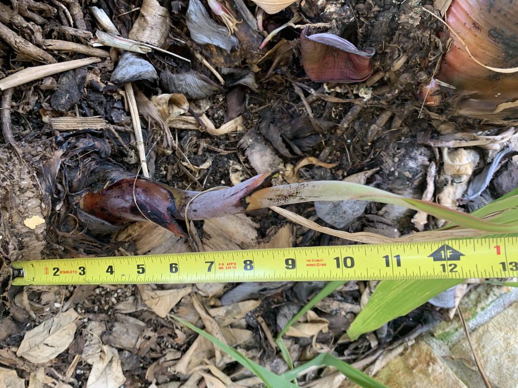 E933935E-06D5-45CB-A00C-2872071E615A