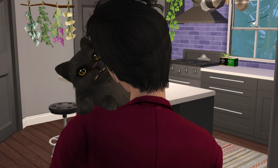 Sims2-EP9-RPC-2021-04-27-21-44-10-72