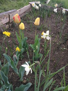 IMG_20220430_152450