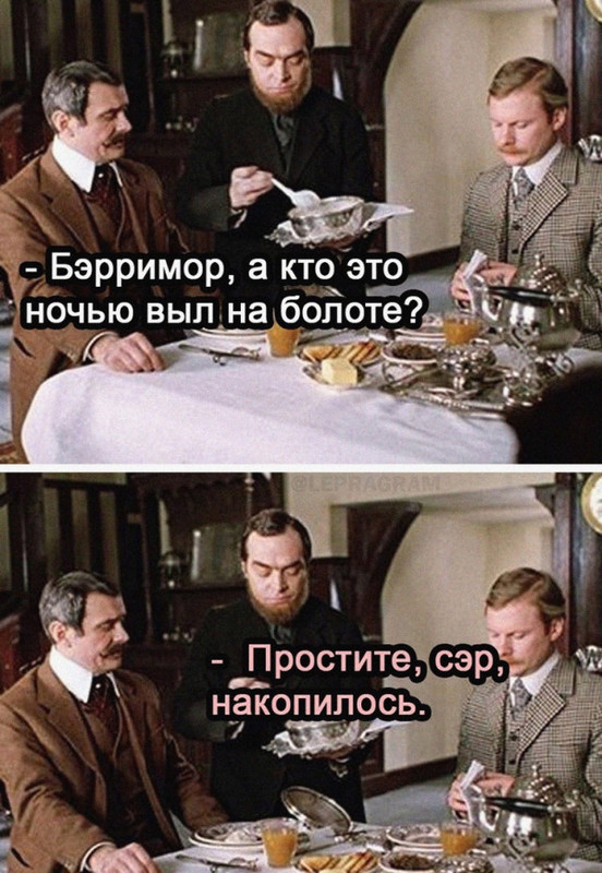 17177338.jpg