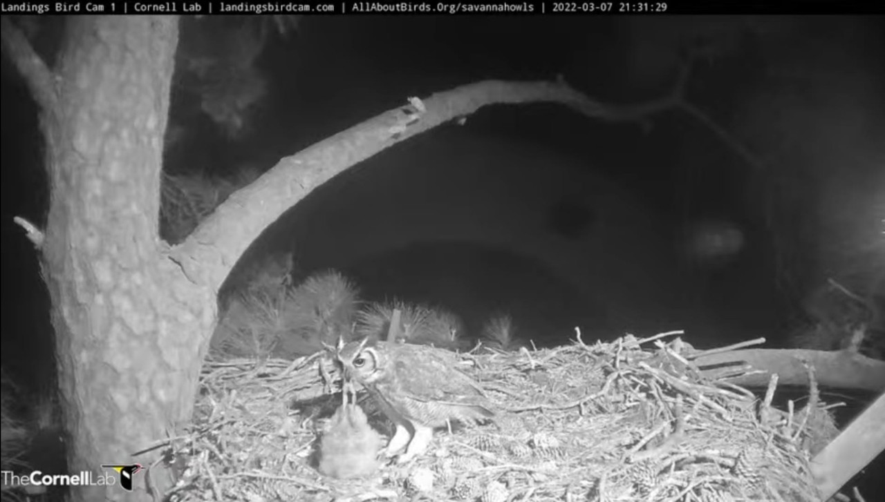 WhatsApp Image 2022-03-08 at 10.28.55 PM (3)