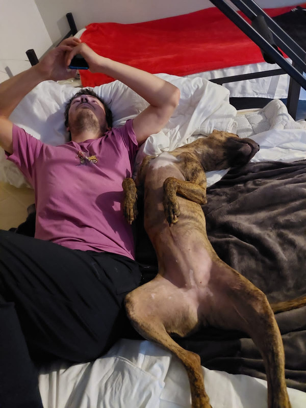 6776E1C4-2E20-4903-80A3-A4B435824EFB