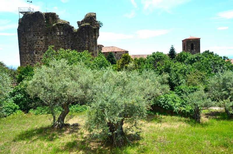VALVERDE DE LA VERA-14-6-2023-EXTREMADURA - Los pueblos más bonitos de España-2010/2023 (9)