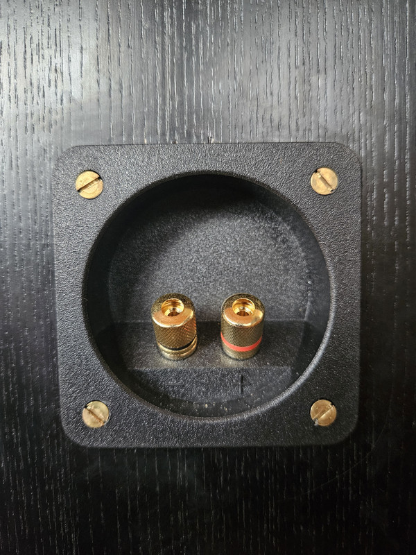 [Bild: 20250804-201304.jpg]