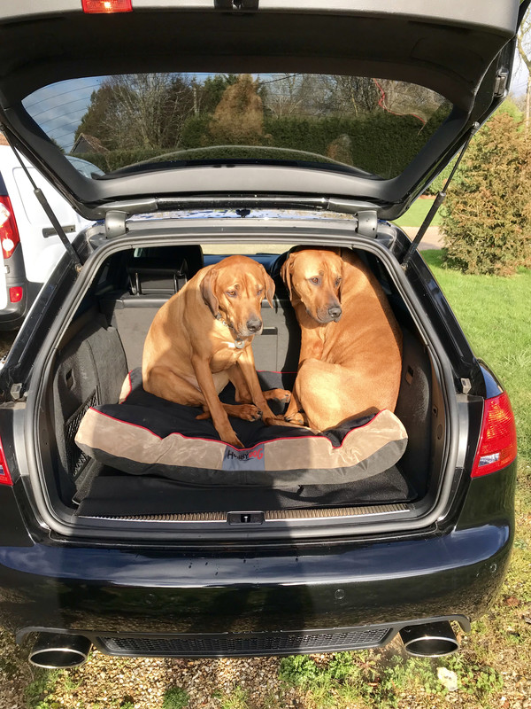 9EE5E098-9E6C-4019-8914-2DBCF89796DE