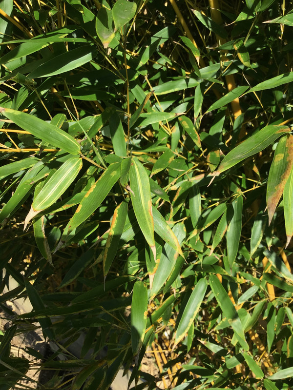 1537EAFF-DB40-4E78-ACB6-EE5027D7409E