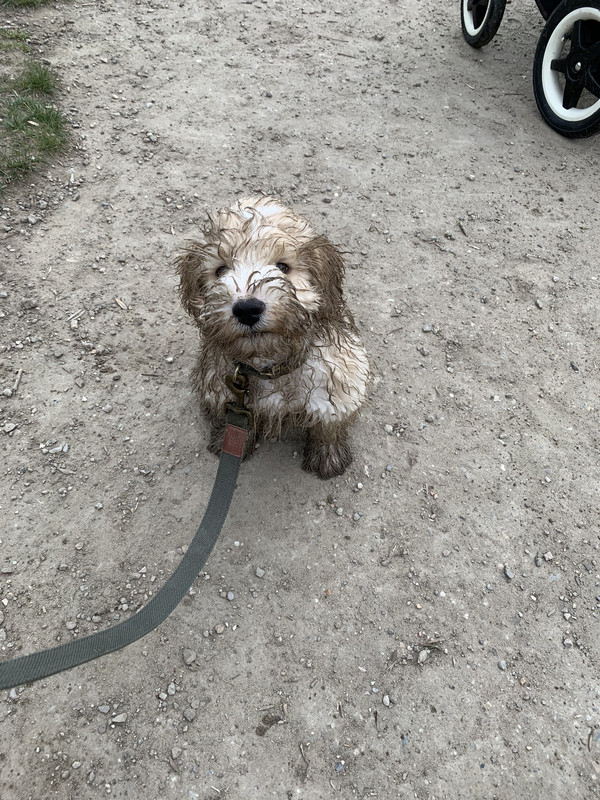 638BECFE-838E-49BA-98E0-21995D5B32AB