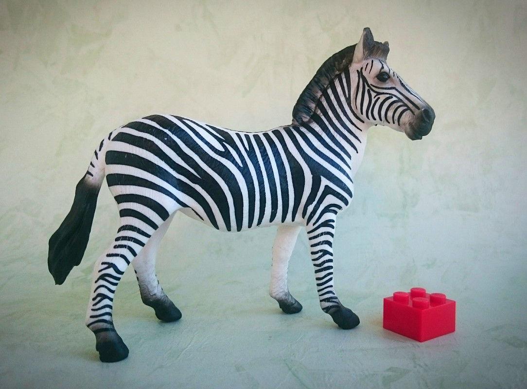 Mojo 2020 - Zebra and foal 20200627-133424