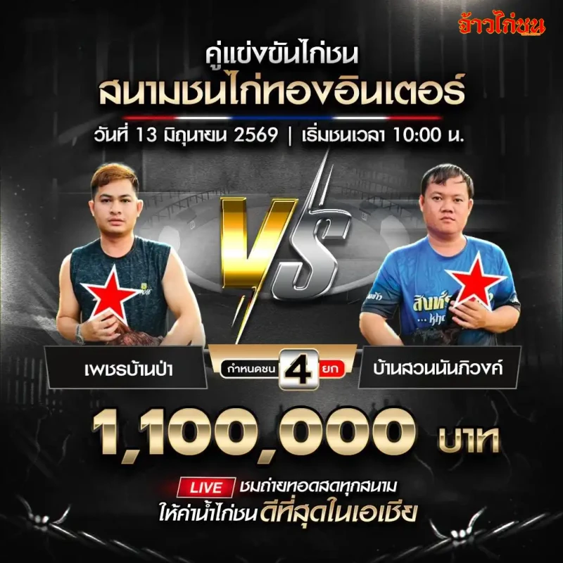 เพชรบ้านป่า vs บ้านสวนนันภิวงค์ สนามชนไก่ทองอินเตอร์ 13 มิถุนายน 2569