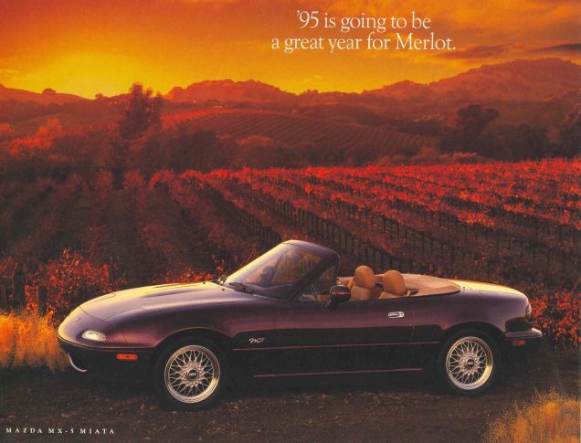 [Immagine: A-great-year-for-Merlot.jpg]