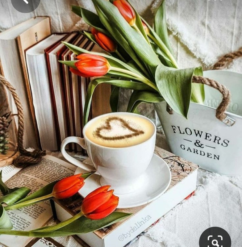 Screenshot_20230717_220513_Pinterest