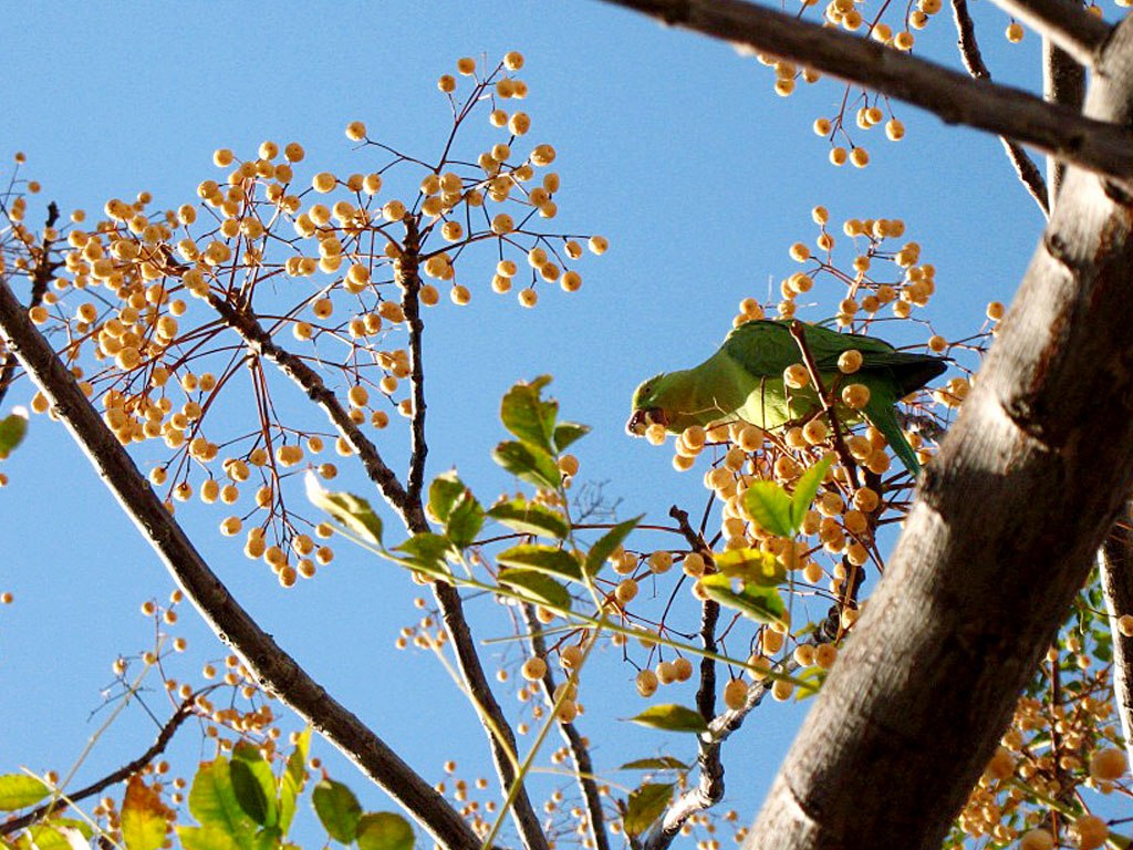 IMG_20220129_145450_313