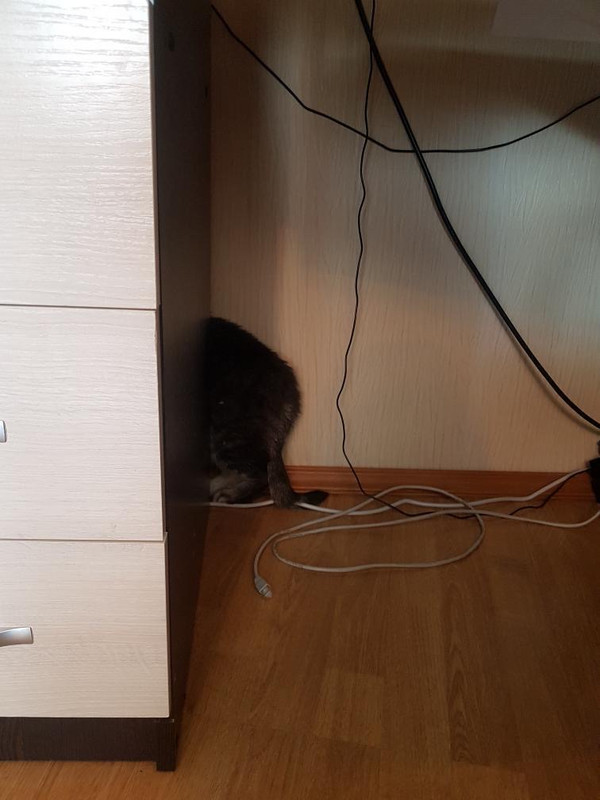 EFBB810E-2B9E-4093-8D7D-B57CAB3AC67A