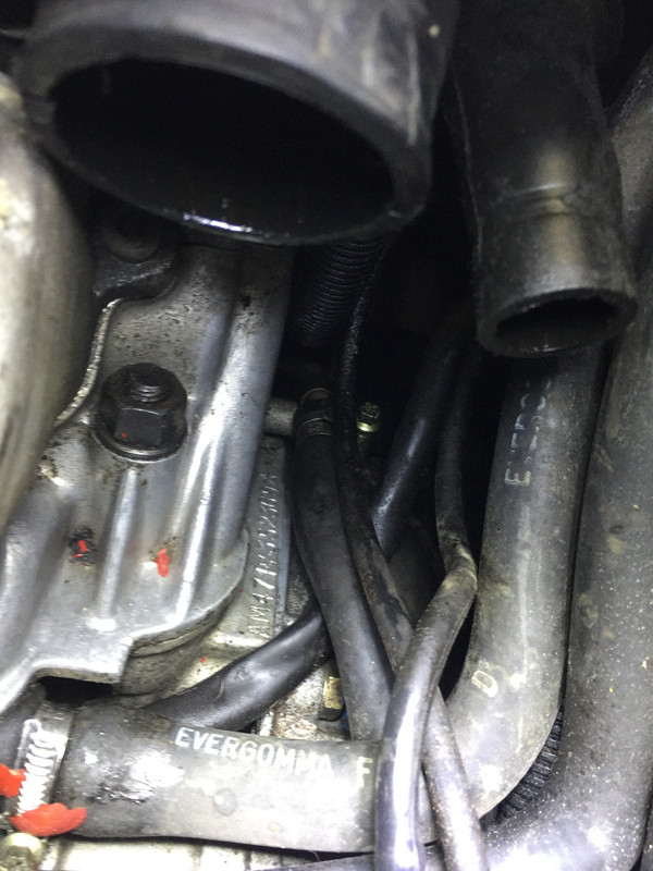 037BEF6F-E982-46D6-B2A9-2796FB7F3318