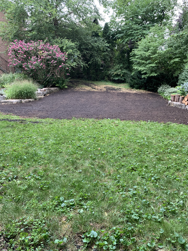 DDB7961B-2C2F-425A-9147-04F9536DEA78