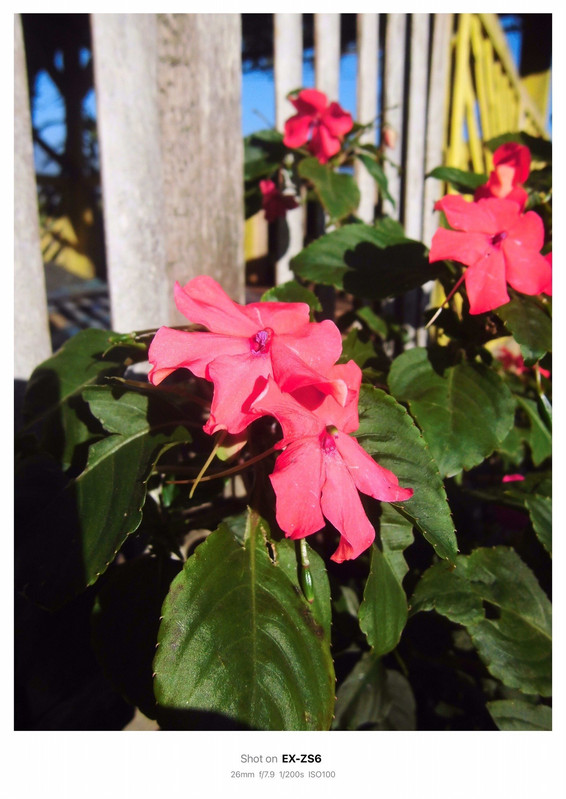 photo 24 2025 12 14 22 01 24