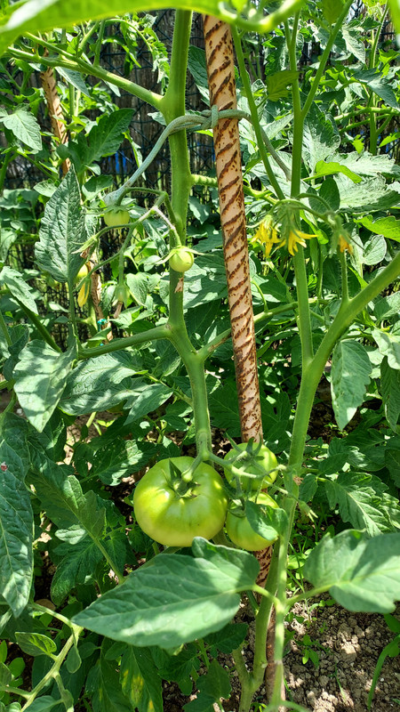 A3BECD70-9932-4FD3-A3FC-F92EBDE54E68