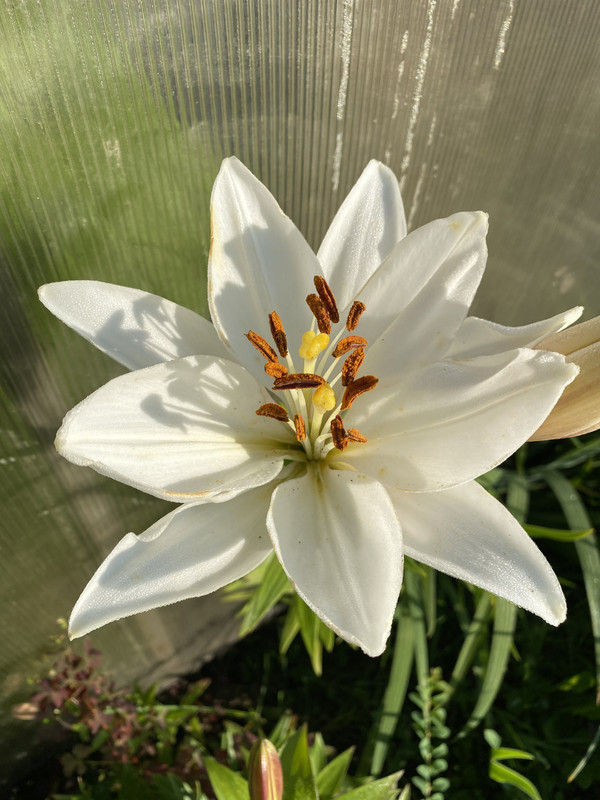 72776444-50CE-404B-8774-AB92ED8A3A34