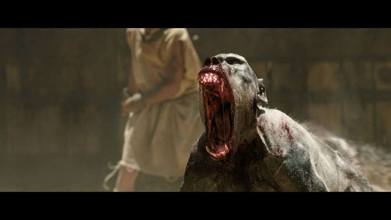 vlcsnap-2025-02-27-16h03m39s940