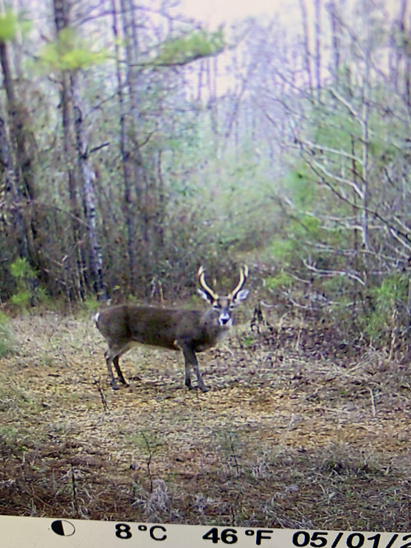 18CB240B-B352-463F-88CE-36EC103ADEFB