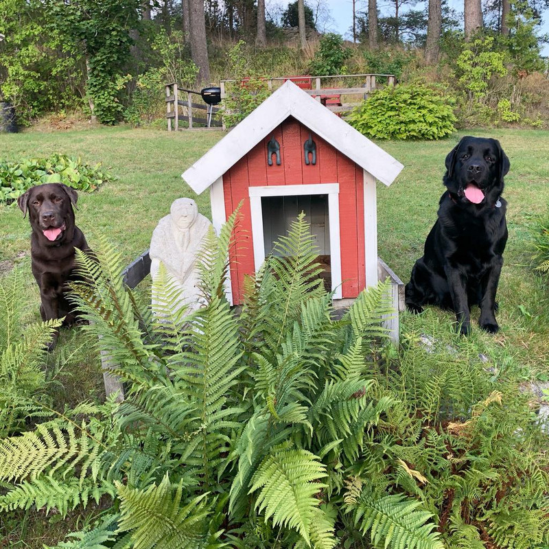 508893C6-015F-468C-849E-F90970AE0126