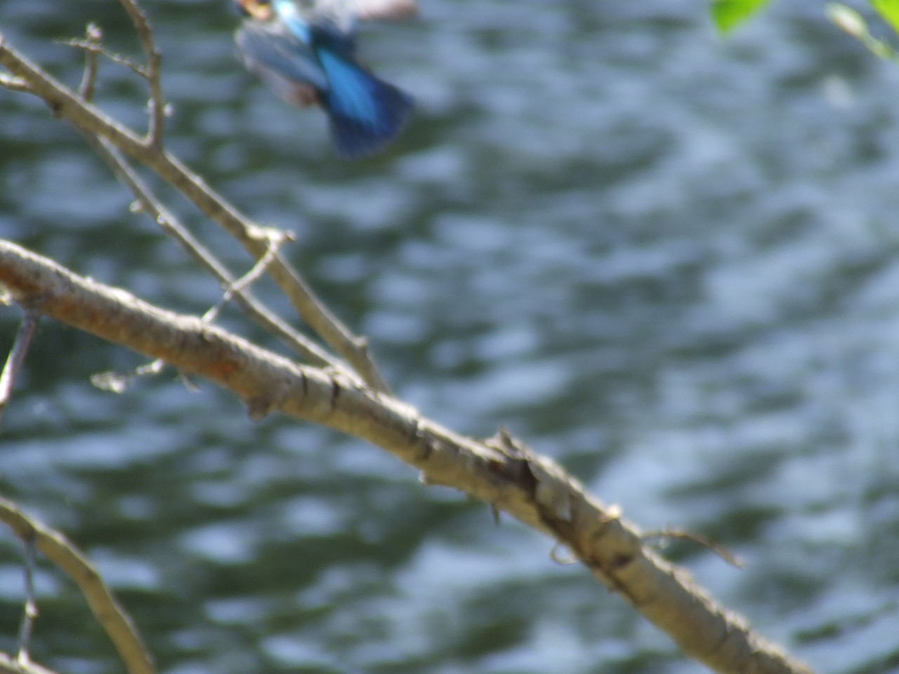 DSCF0680.jpg