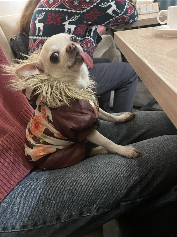 F7AC35C6-0100-4DCF-BCFD-329C5BB85E68