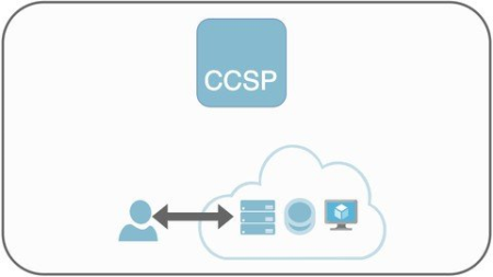 Cloud security concepts overview for the CCSP