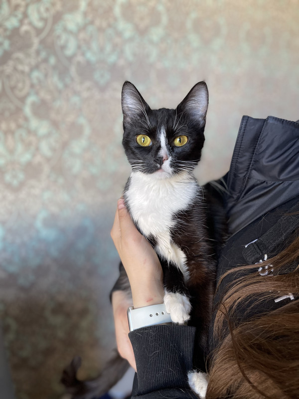 1B4FA7B8-0E39-4B9D-B3D0-6855128EBCE2