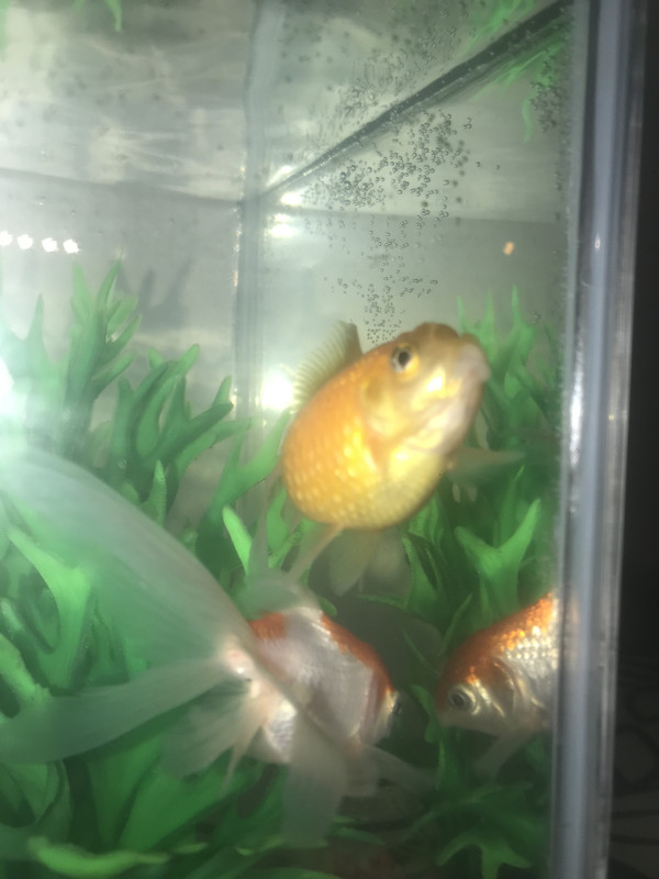 8510A14C-9CC0-4137-AC7F-939DB57A43A3