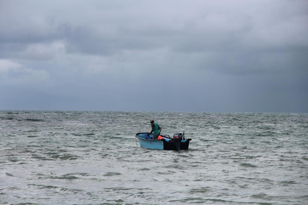 DE TORTUGAS Y PEREZOSOS. COSTA RICA 2019 - Blogs de Costa Rica - DÍA 5: PARQUE NACIONAL CAHUITA (26)