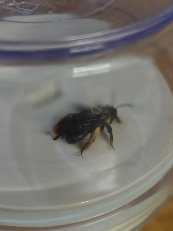 IMG 20260326 231133560 HDR PORTRAIT