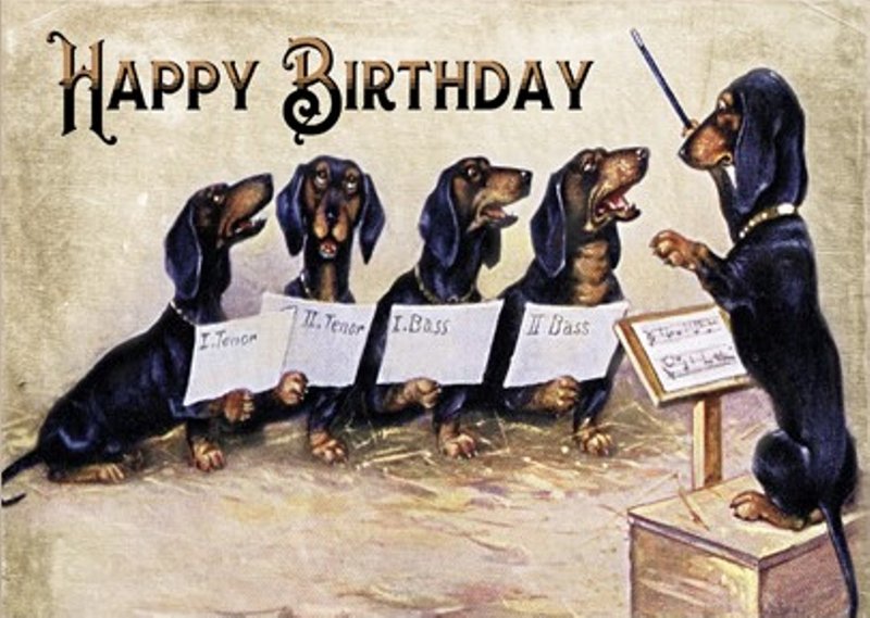 [Image: Anniversaire-teckel-9.jpg]