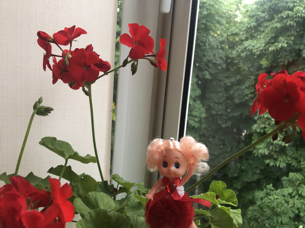 994B388B-E39E-4104-B003-E7F963684C72