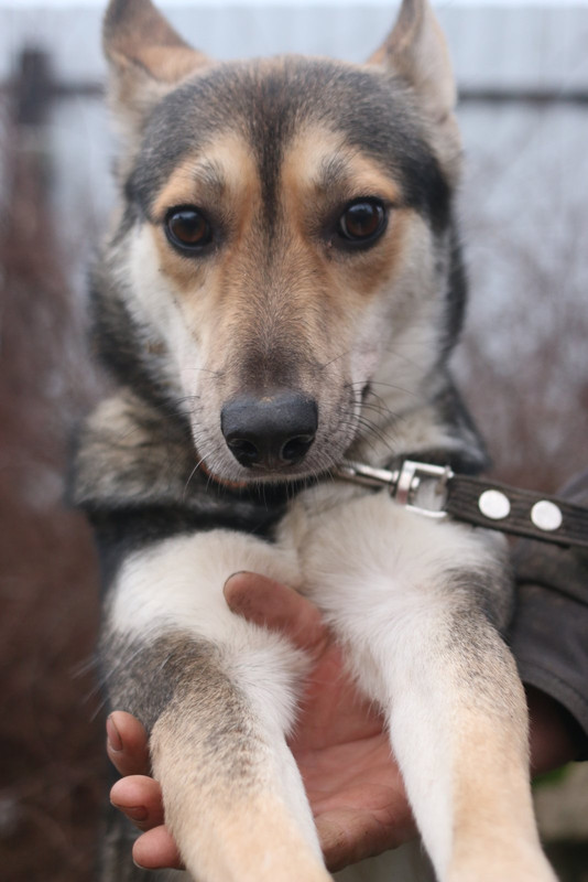 изображение_viber_2021-07-20_10-43-37-485