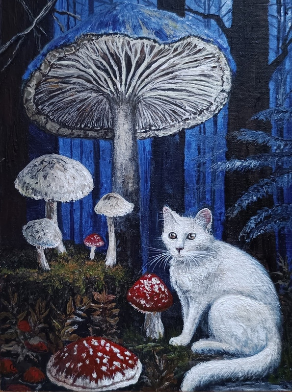 07