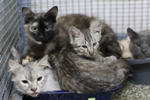 3859BEF6-863E-4051-A28C-38121FDD15A8