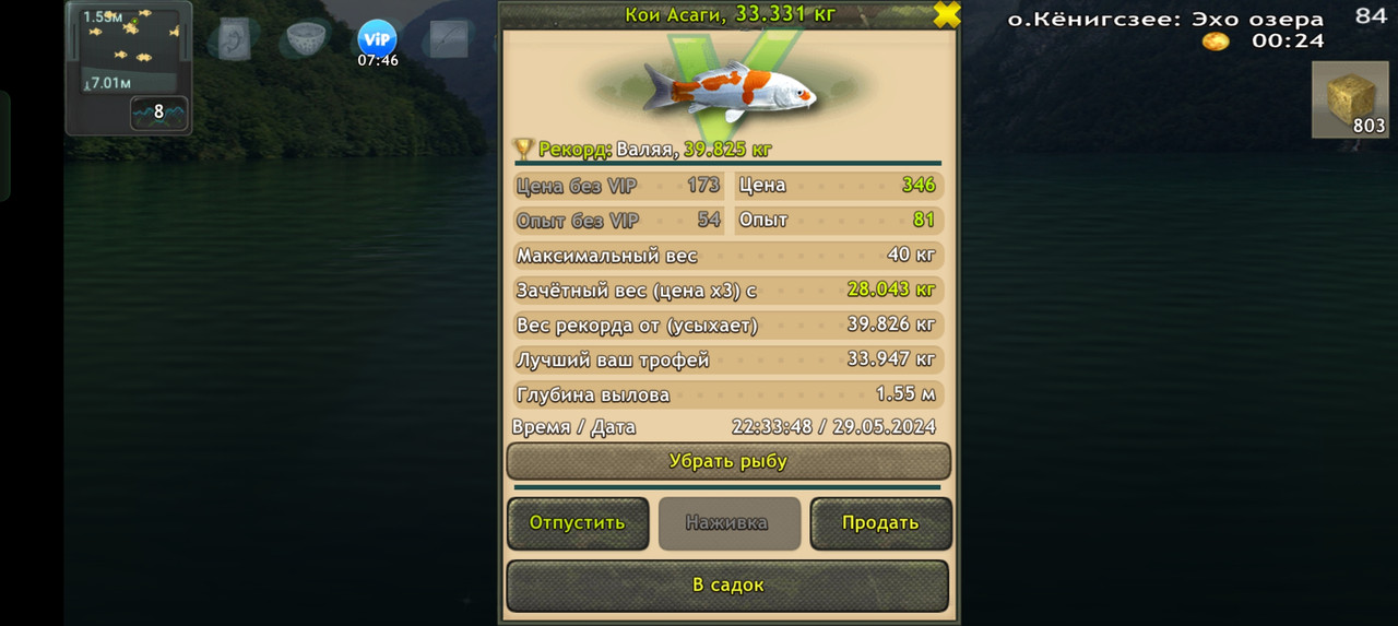 Screenshot-2024-05-29-22-33-53-52-fa28ee