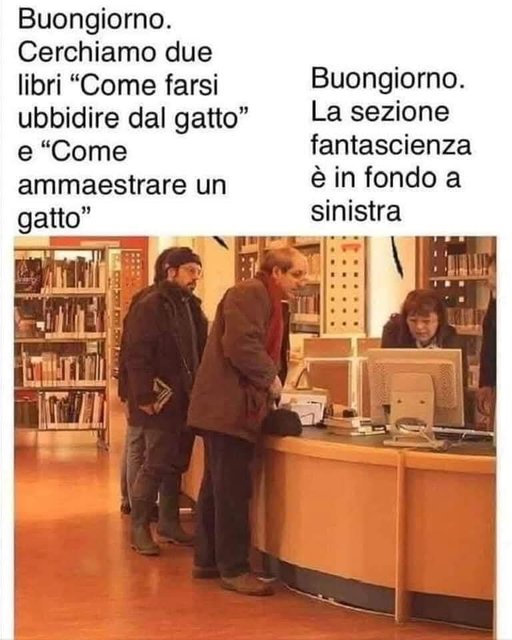 FB-IMG-1742853240411.jpg
