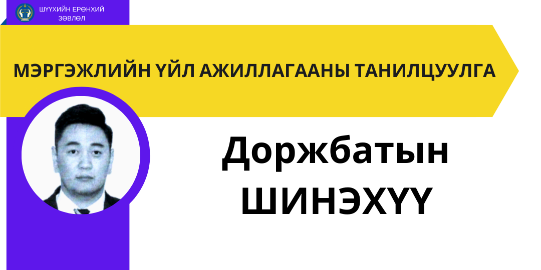Д.Шинэхүүгийн мэргэжлийн үйл ажиллагааны танилцуулга