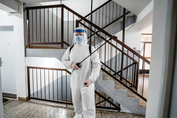 Pest Control Kissimmee