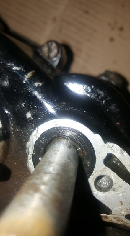 82576123_186977055712203_2663483342518747136_n