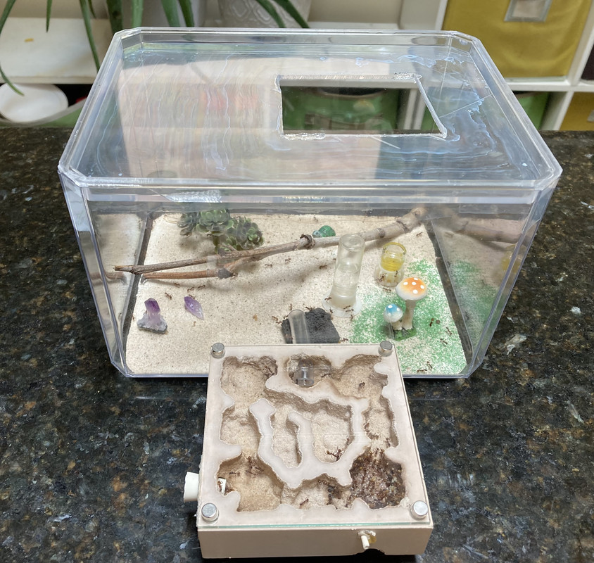 7B158DE4-9146-4CA2-80AC-2D48A37BCE0C