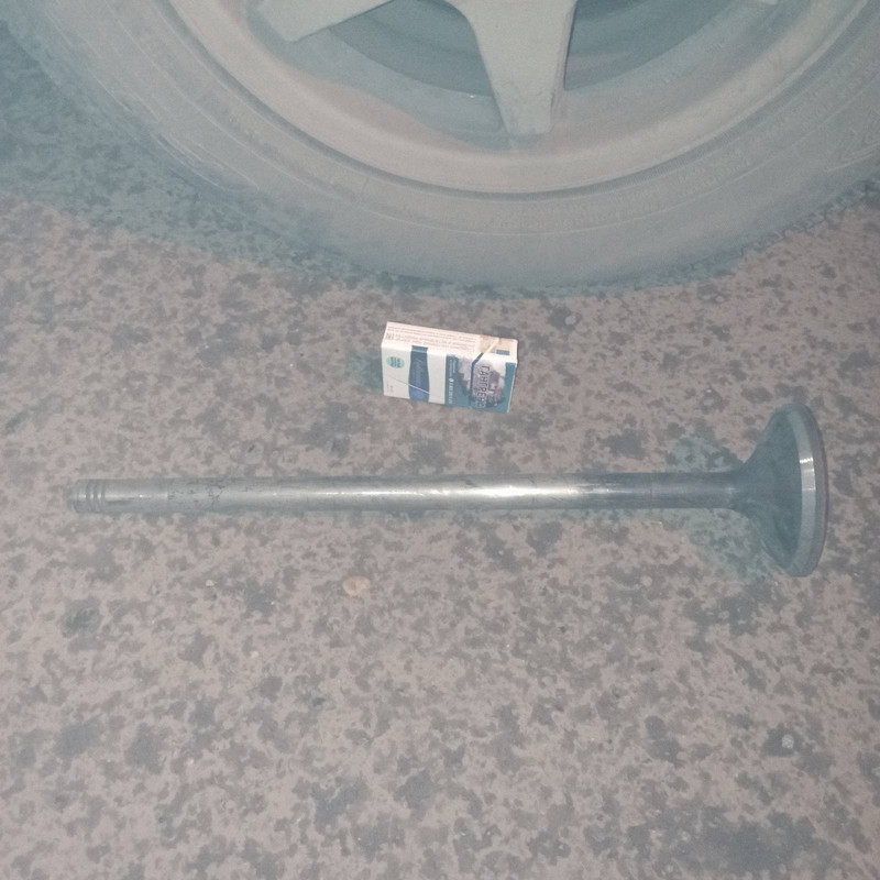 изображение_viber_2022-10-29_22-37-12-675