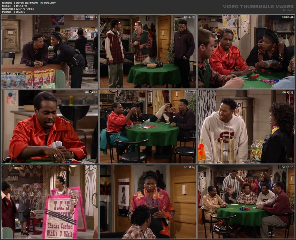 Wayans Bros S02e09 (The Sting).mkv