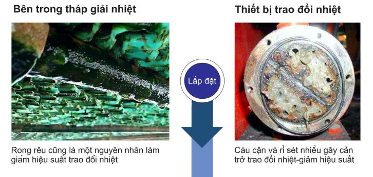 lắp đặt thiết bị tẩy cáu cặn ewater