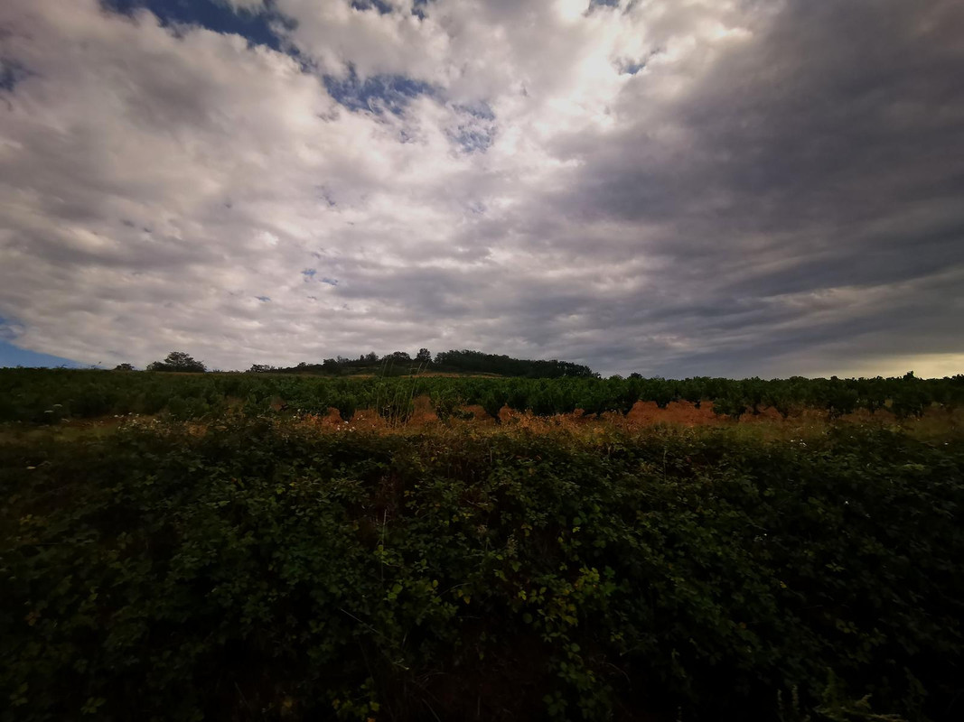 Bourgogne2019 (8).jpg.1